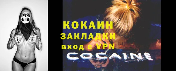 apvp Богданович