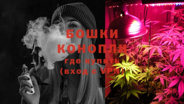 соль ск Белокуриха
