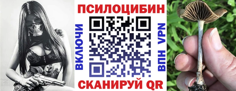 Галлюциногенные грибы Psilocybine cubensis  где найти наркотики  блэк спрут онион  Котельники 
