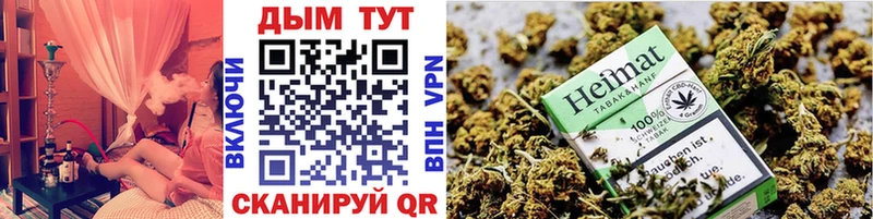 Канабис OG Kush  дарк нет формула  Котельники 